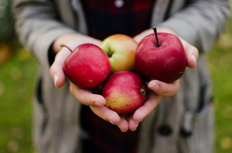 Dlaczego warto jeść polskie jabłka? + 3 przepisy