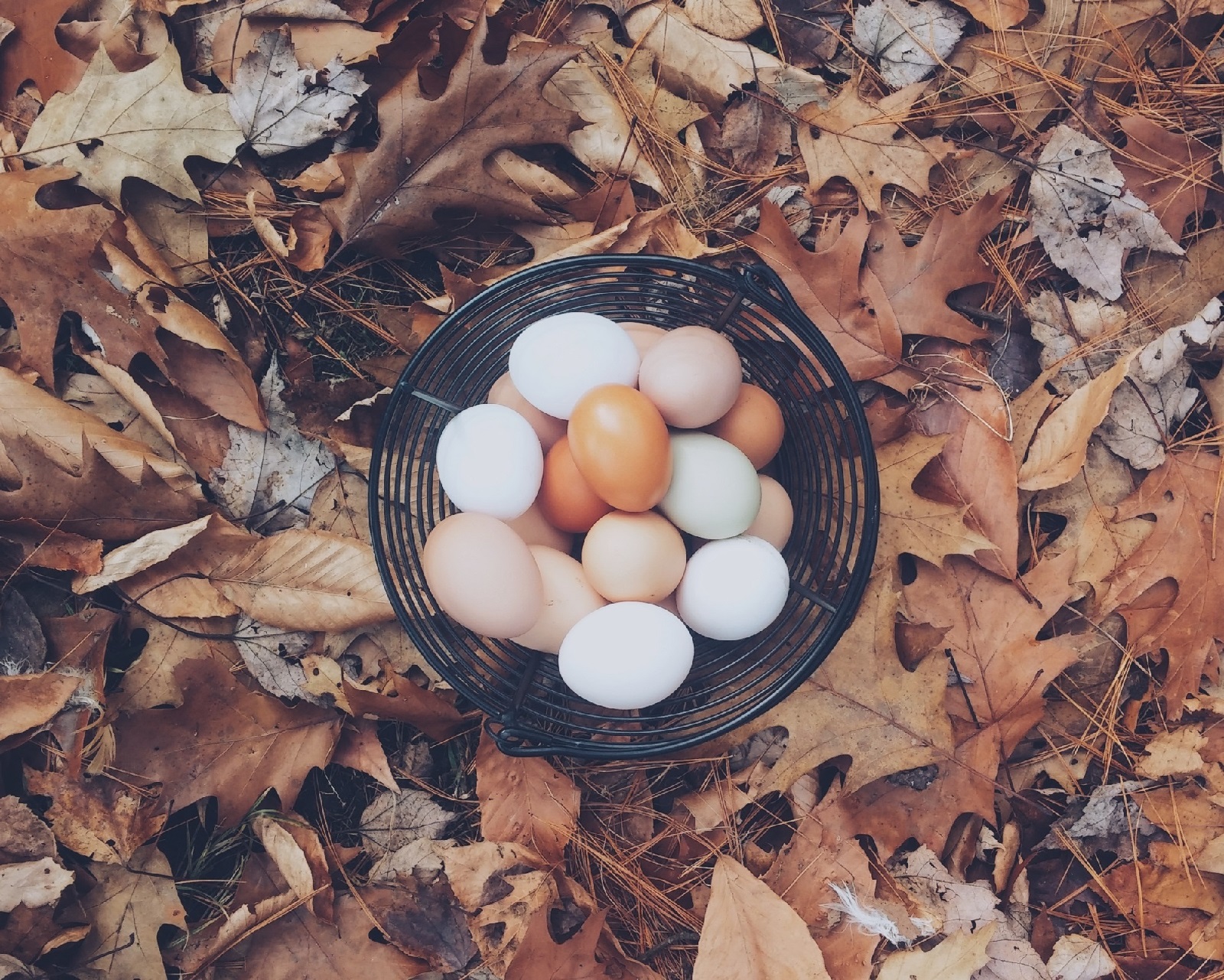 jajka są polecane podczas odchudzania