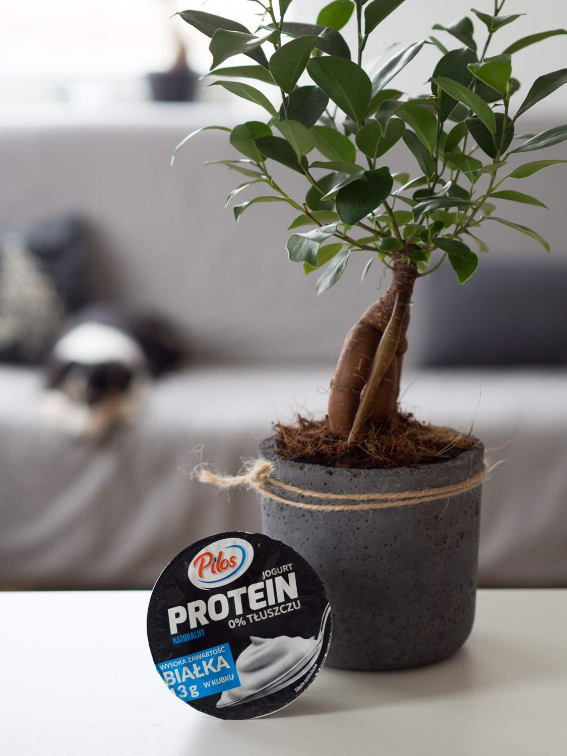 Zakupy Dietetyka: jogurt Protein naturalny (Pilos)