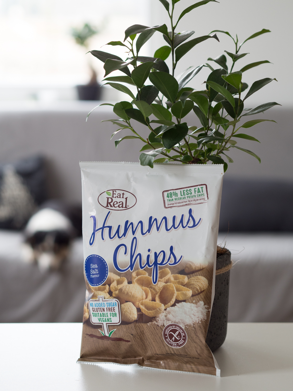 Hummus Chips z solą morską – Eat Real
