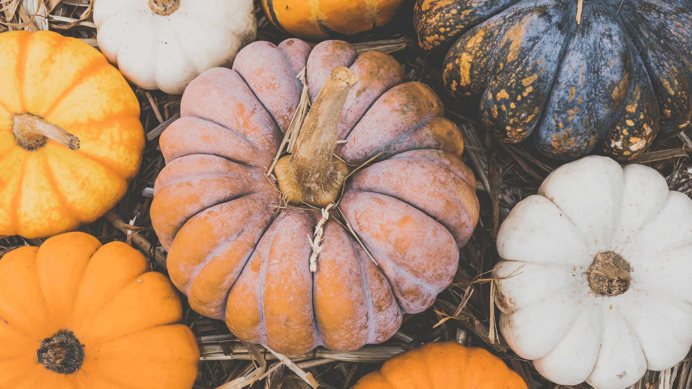Co jeść jesienią, aby zachować zdrowie?