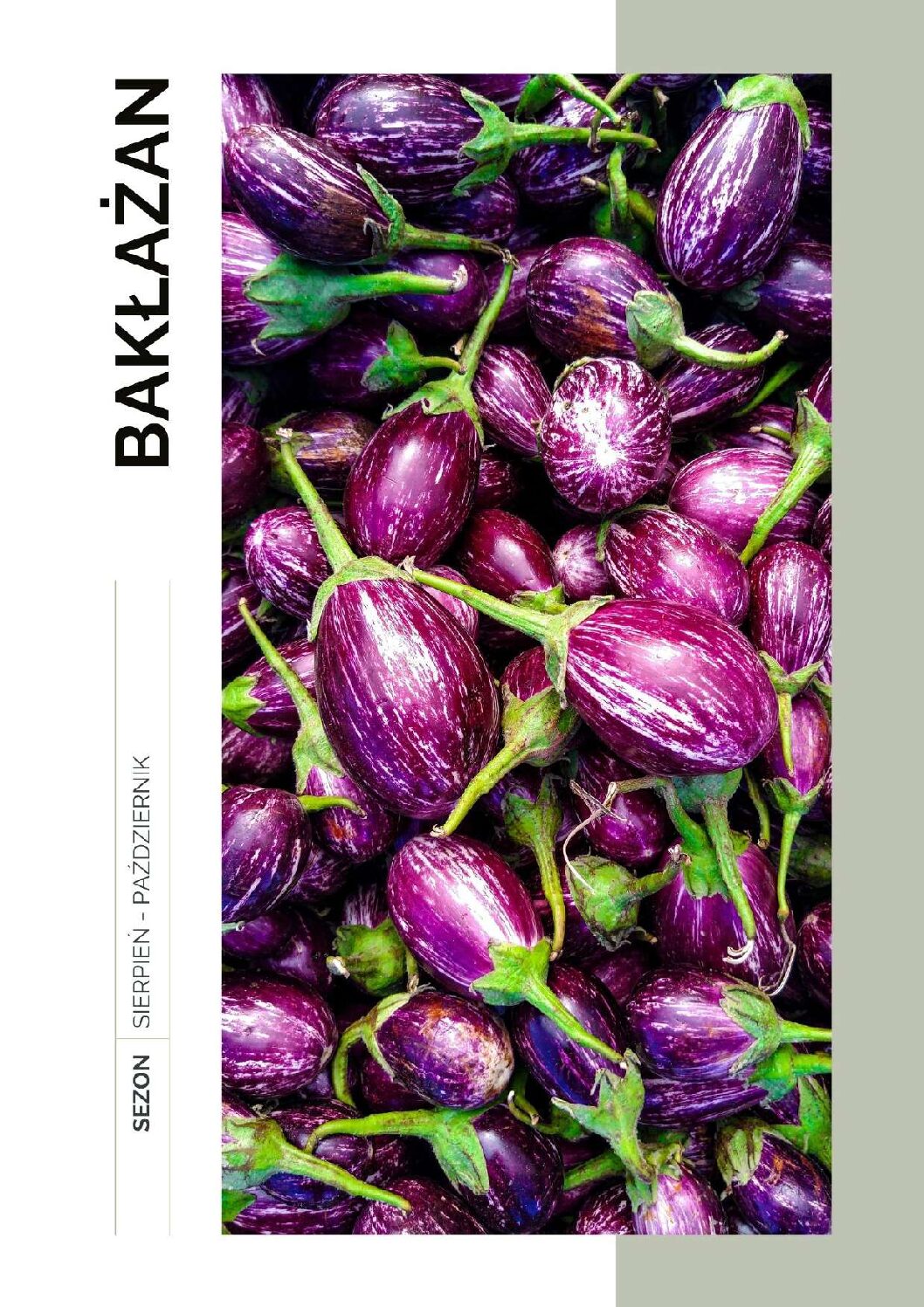 Pakiet ebooków Dietetyczny Leksykon Smaków - całoroczny - obrazek 3